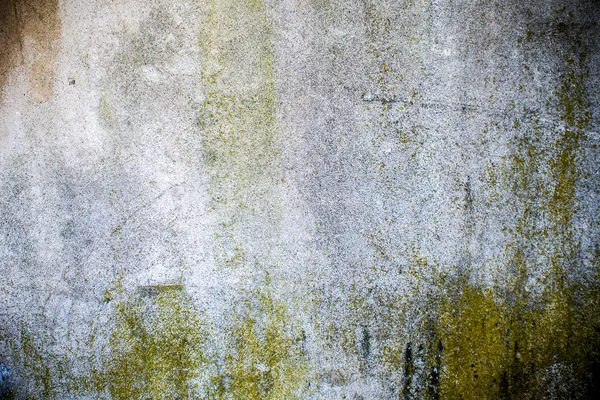 Moisture on concrete wall
