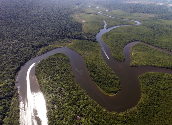 Amazon rainforest in Brazil