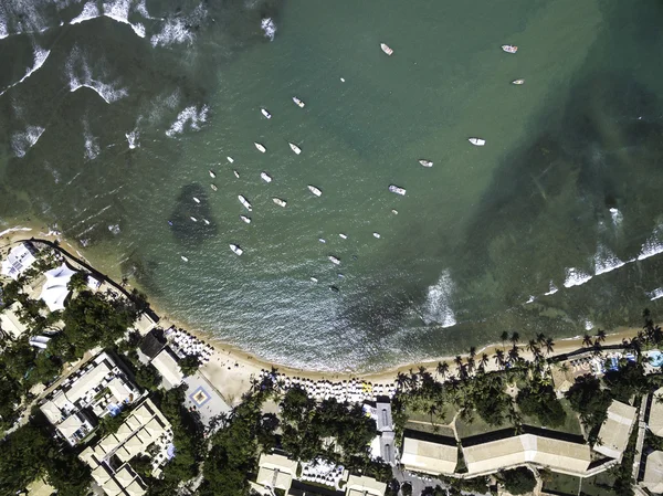 Praia do Forte beach, Bahia