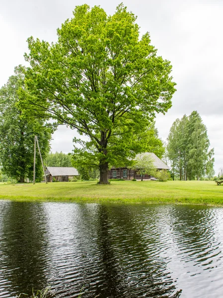 Country house with pond and oak trees with pond