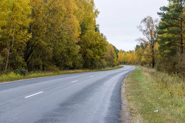 Empty road in the countryside in autumn