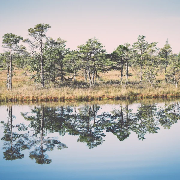 Beautiful tranquil landscape of misty swamp lake. Vintage.