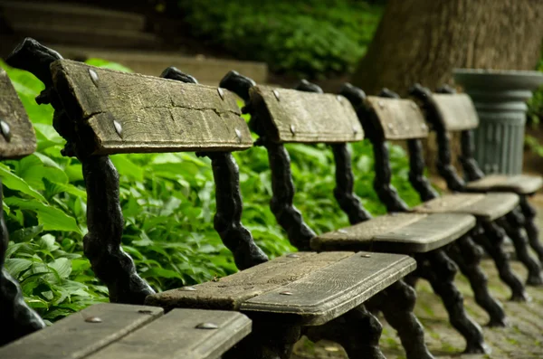 Old benches in park