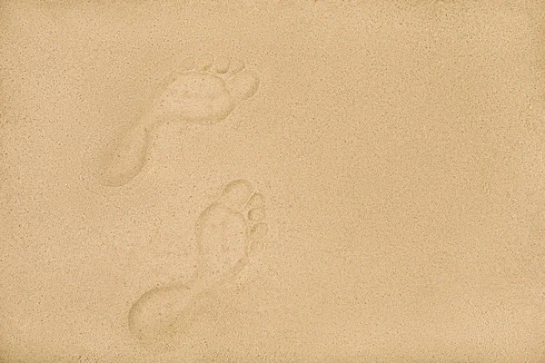 Sandy beach with human footprints, copy space