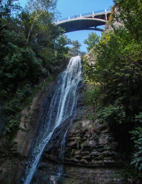 Bridge over  waterfall in trees