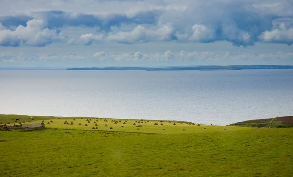Typical landscape in Orkney Island, Scotland