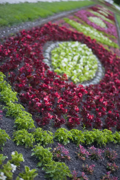 Detail of Flower Beds in garden