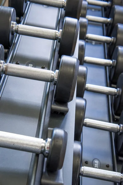 Indoor fitness equipment - free weights stacked on the rack