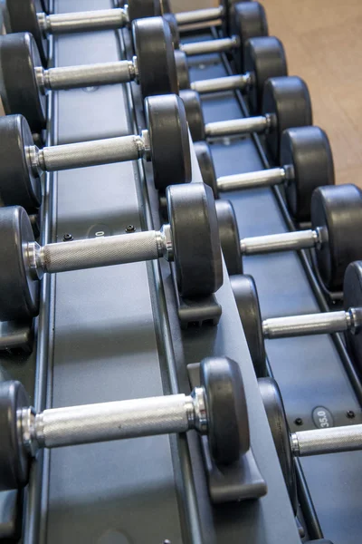 Indoor fitness equipment - free weights stacked on the rack