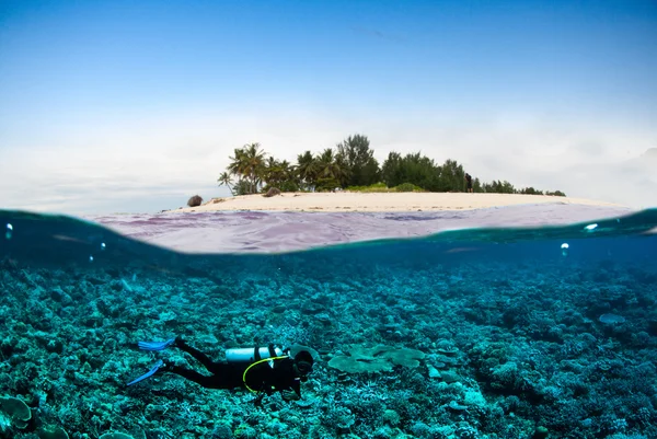 Scuba diving diver below island kapoposang sulawesi indonesia underwater bali lombok