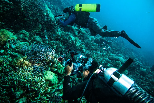 Diver take a photo video upon coral kapoposang indonesia scuba diving