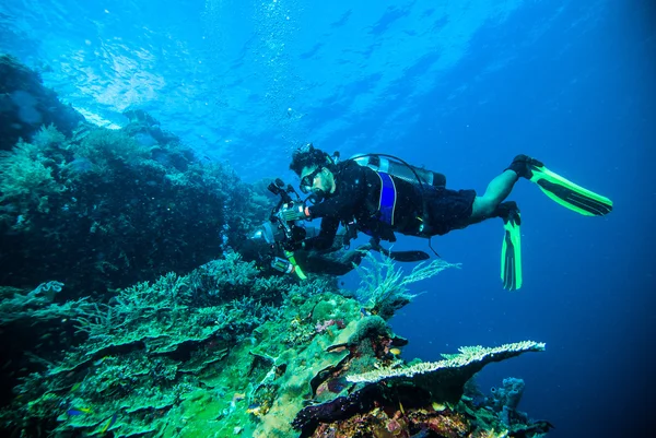 Diver take a photo video upon coral kapoposang indonesia scuba diving