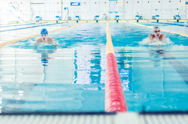 PERM REGION CHAMPIONSHIP SWIMMING