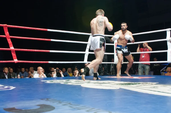 Fight for the championship belt of Europe kick-boxing