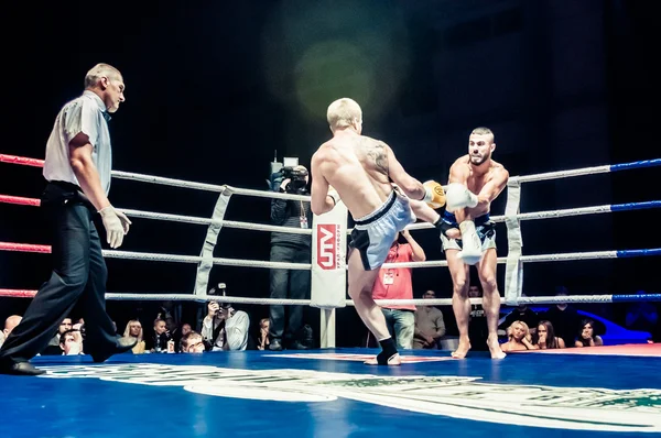 Fight for the championship belt of Europe kick-boxing