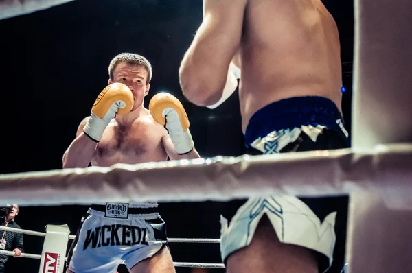 Fight for the championship belt of Europe kick-boxing