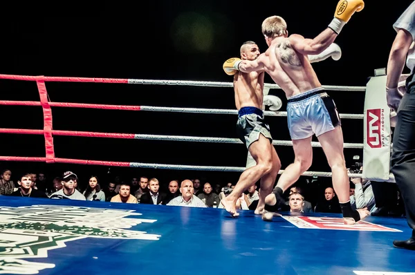 Fight for the championship belt of Europe kick-boxing