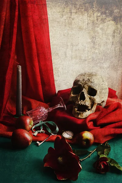 Still Life with Skull in the style of vanitas