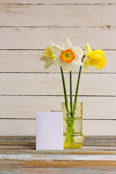Three spring flower yellow and white daffodils in a glass vase with greeting blank card on a white wooden background. The Provence style, rustic. With space for text