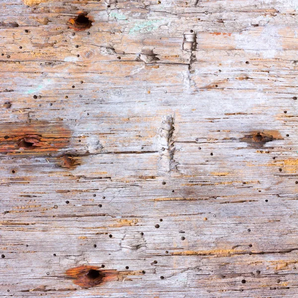 Texture of old rotten wood eaten by worm with the nail holes. square photo with copy space for text