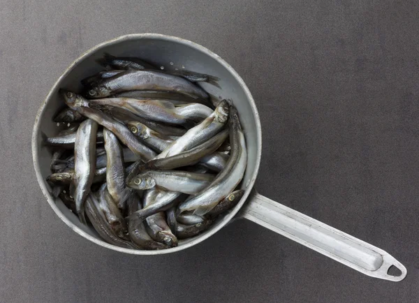 Raw fish capelin in the old aluminum colander on a gray background, top view
