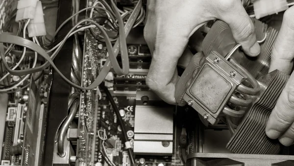 Computer repair. Setting the cooling system of the CPU in the PC. selective focus, black and white photo