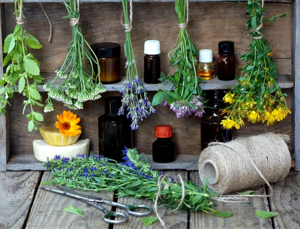 Bunches of healing herbs - mint, yarrow, lavender, clover, hyssop, milfoil, mortar with flowers of calendula and bottles
