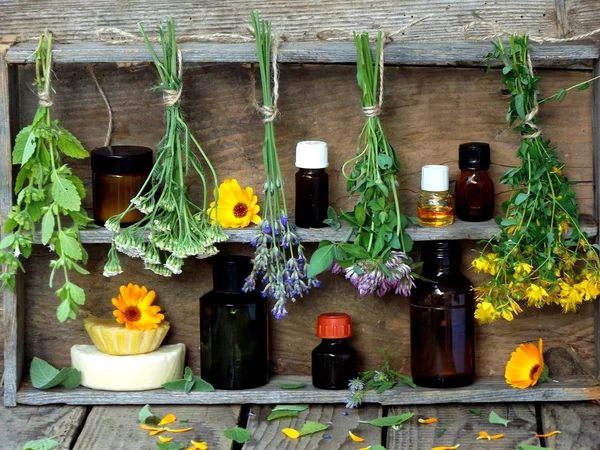 Bunches of healing herbs - mint, yarrow, lavender, clover, hyssop, milfoil, mortar with flowers of calendula and bottles