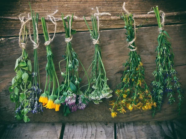 Bunches of healing herbs - mint, yarrow, lavender, clover, hyssop, calendula, milfoil