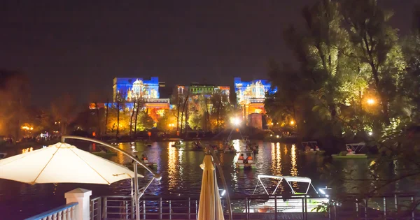 Gorky Park  at night