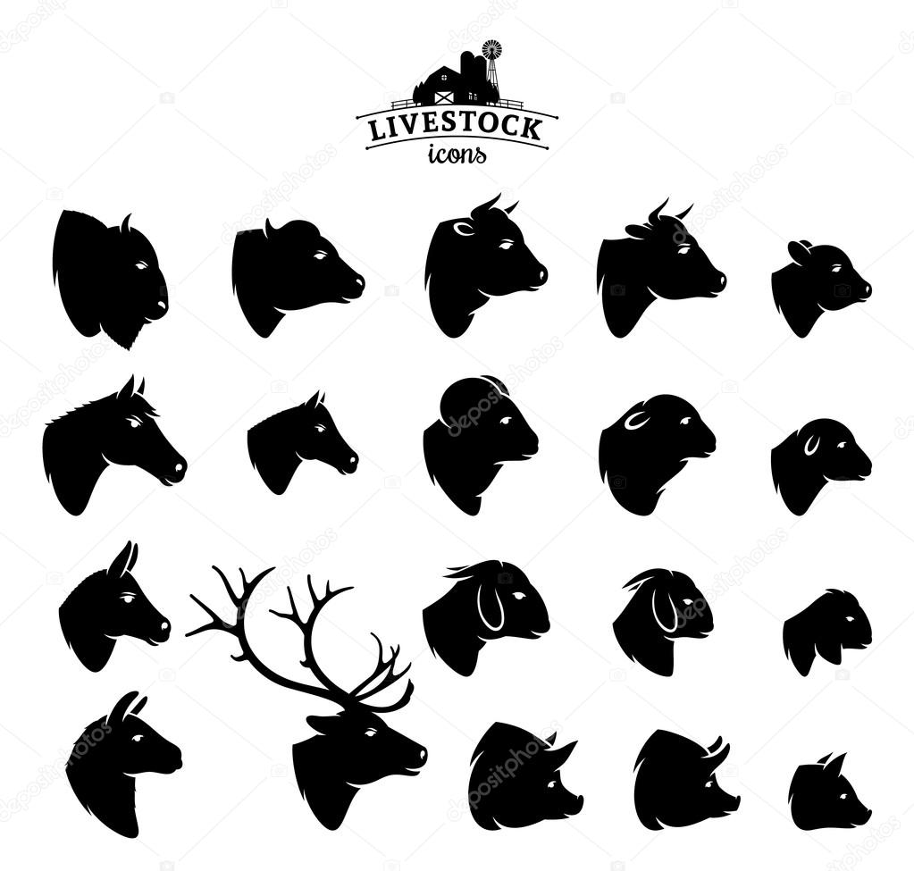 Vector Livestock Icons Isolated on White — Stock Vector © Counterfeit