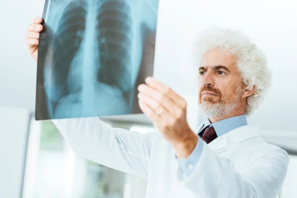 Radiologist checking patient's x-ray images