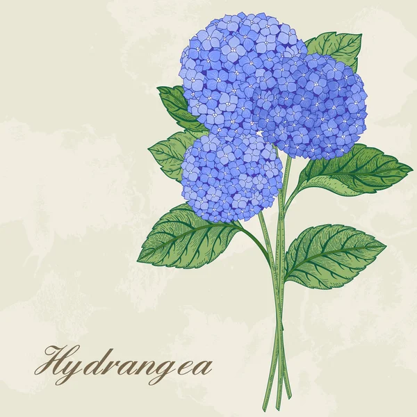 Card with hydrangea flowers.