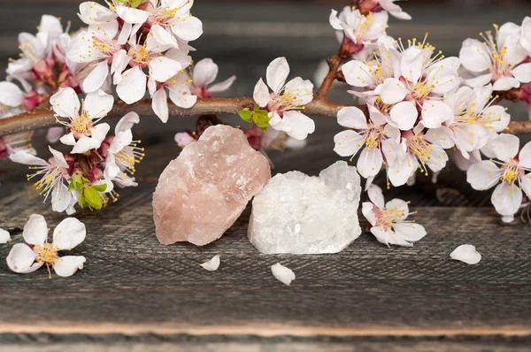 Flowers and minerals are white and pink quartz on wooden backgro