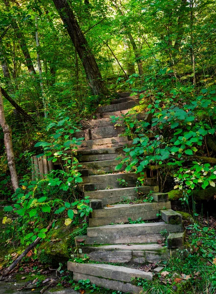 Woods Stair
