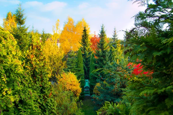 Backyard garden filled with colorful autumn trees