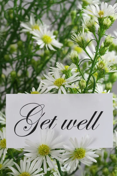 Get well card with fresh chamomile flowers