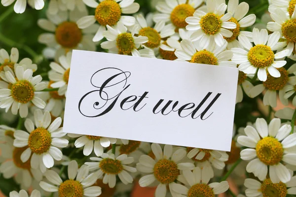 Get well note on chamomile flowers