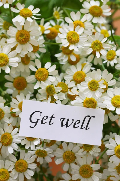 Get well card on chamomile flowers