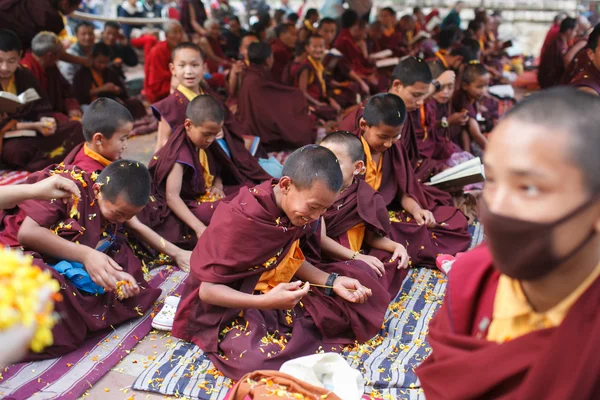 India. Bodhgaya. December 2013. Happy little monks doing the offering. Monlam - the biggest buddhist festival of the year. Diamond way lineage of tibetan buddhism.