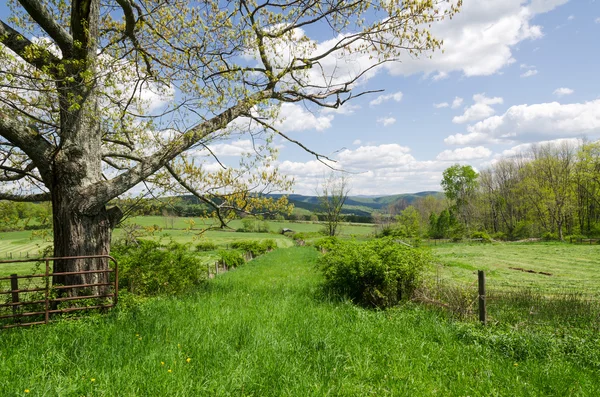 Country Scene, Hudson Valley, New York.