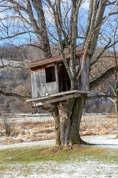 Country Tree house in the early Spring.