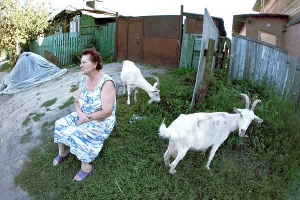 A woman and the goats