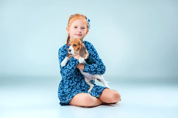 The happy girl and a beagle puppie on gray background