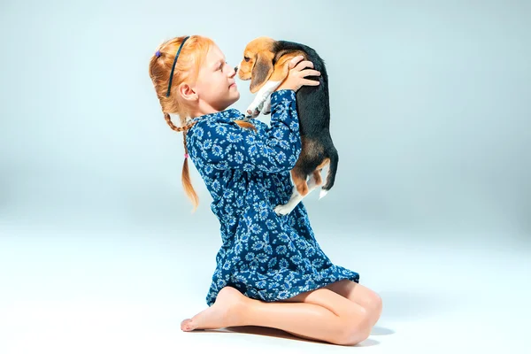 The happy girl and a beagle puppie on gray background