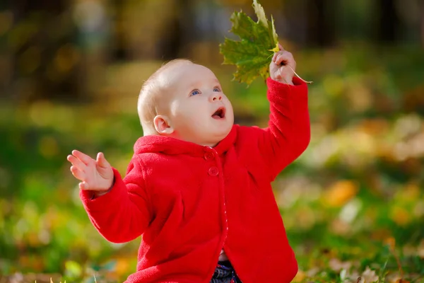 Cheerful baby in a red dress playing with yellow leaves