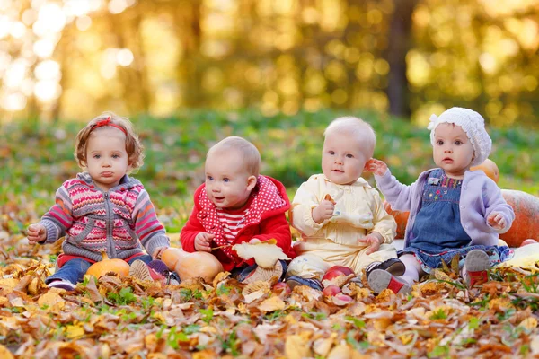 Four cheerful little baby sitting on yellow autumn leaves
