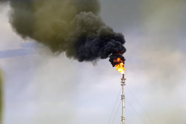 Burning of Petrochemical Industrial Complex. Oil refinery building industry