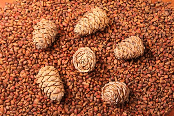 Bunch of fresh Siberian pine, cedar nuts and cones - background