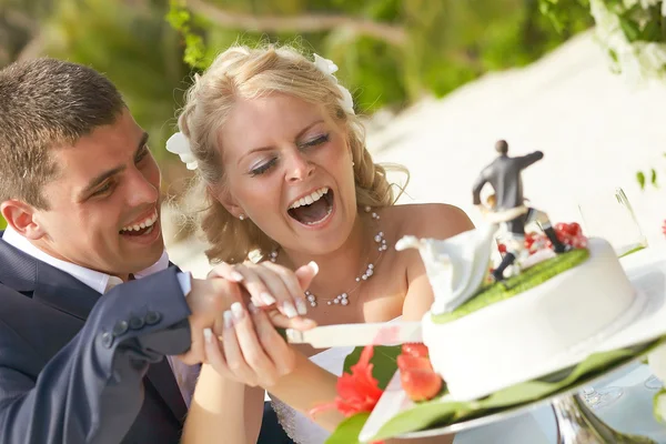 Lovely couple cutting wedding cake during ceremony on tropical i